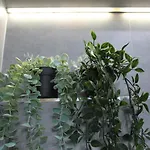 Apartamento Capitan 1